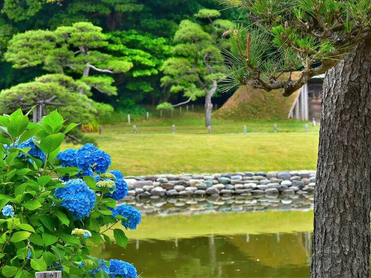 vườn hamarikyu vườn hamarikyu